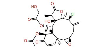 Erythrolide U